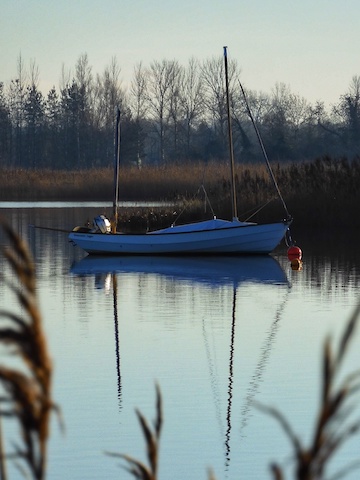 Lugger in reedy winter anchorage.